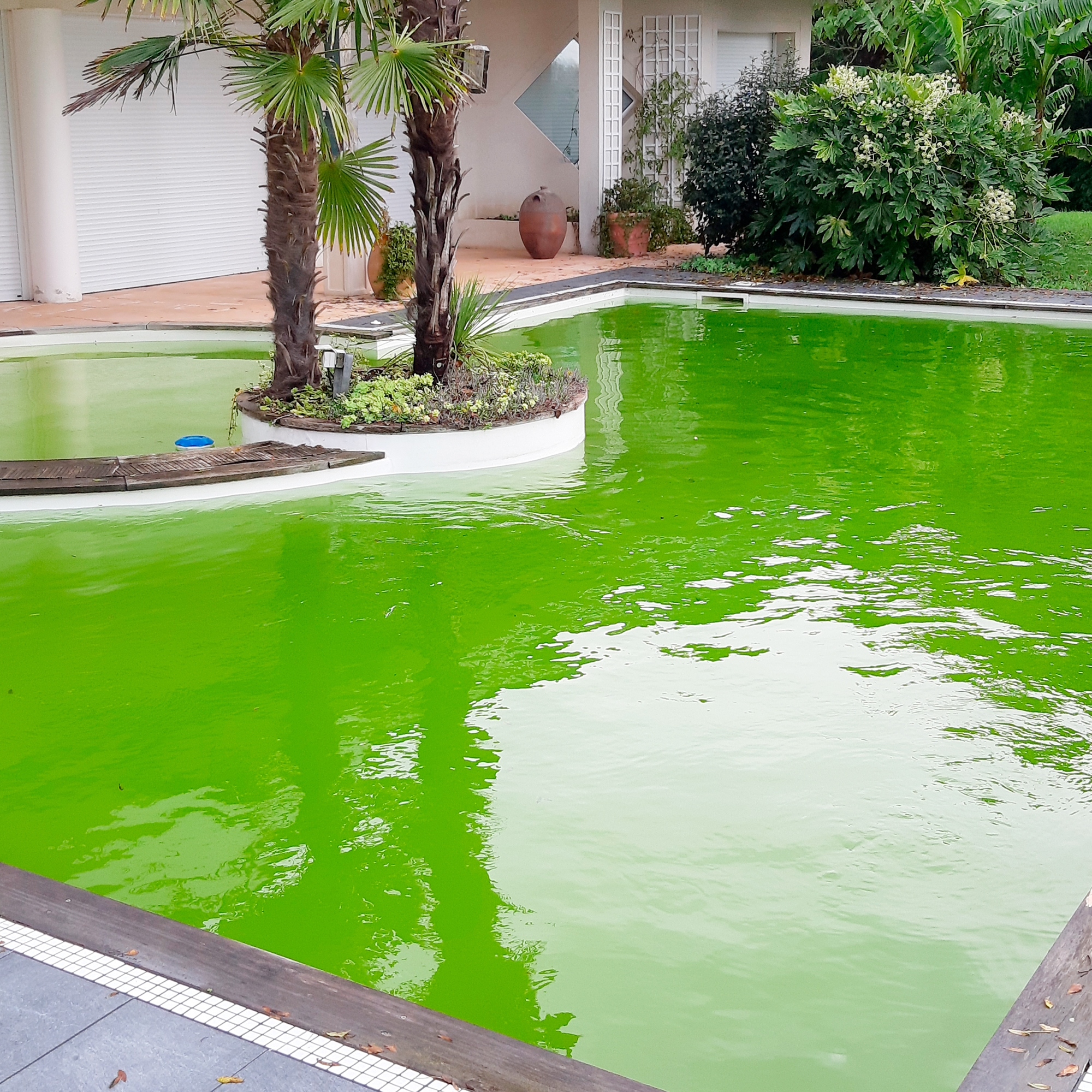 Remise en route de la piscine après l'hiver / AVANT